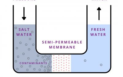 Key Considerations when Choosing Reverse Osmosis Systems for Water Treatment